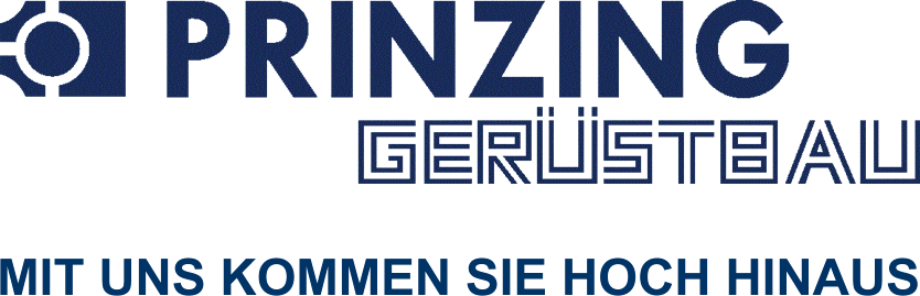 logo websiteblau transparent hochhinaus